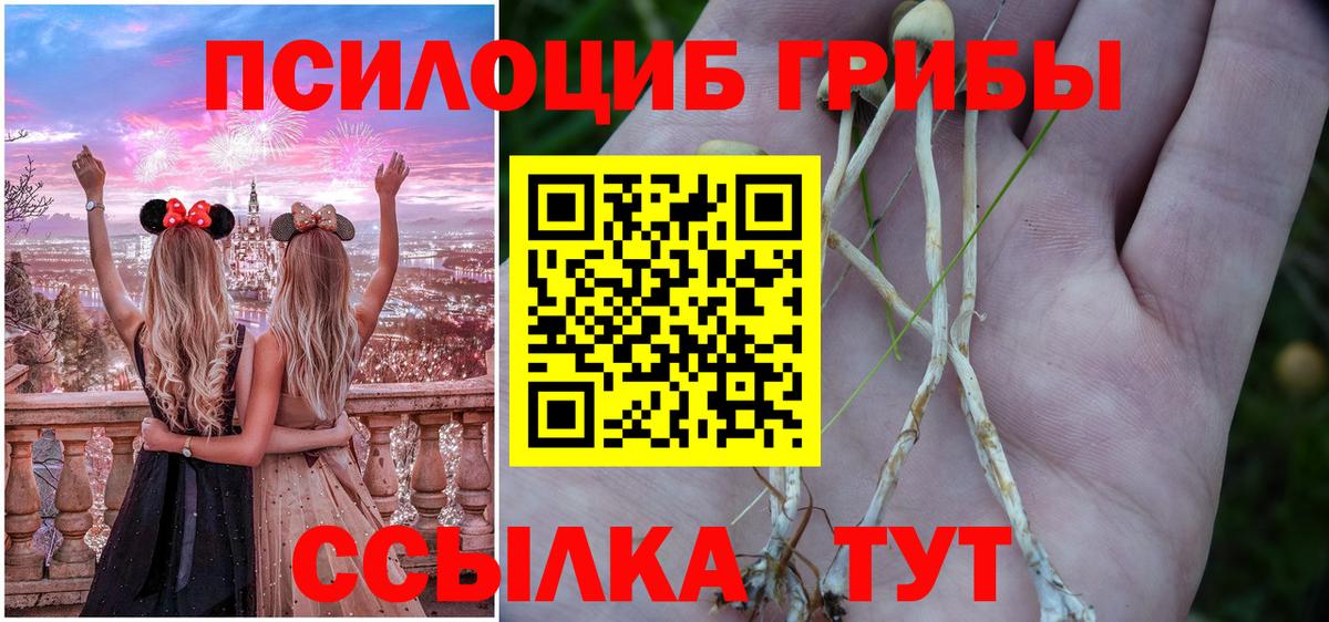 Алейск  где купить наркоту  Вход с VPN  Галлюциногенные грибы Psilocybine cubensis 